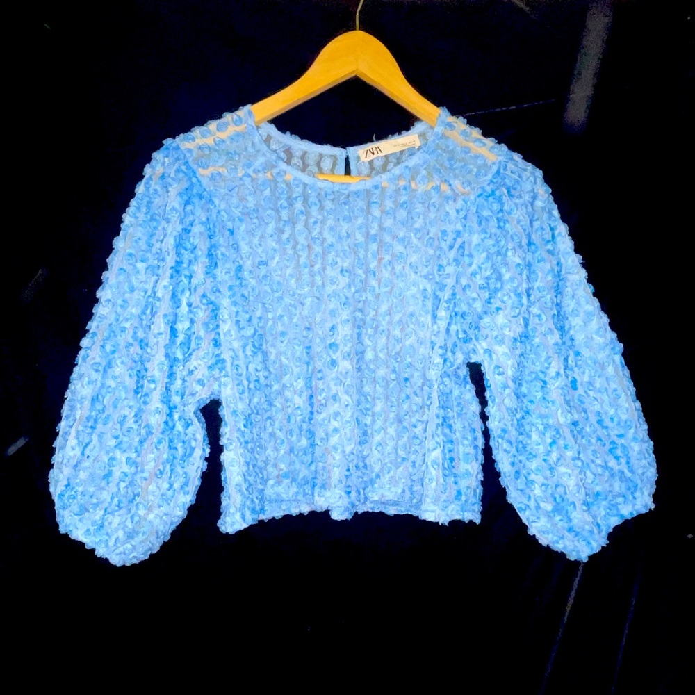 Balloon sleeved mesh blouse with rose detail